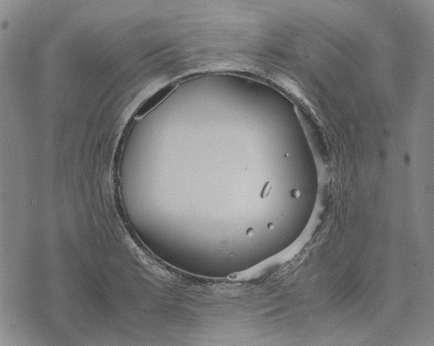 X0000072521181200608041524