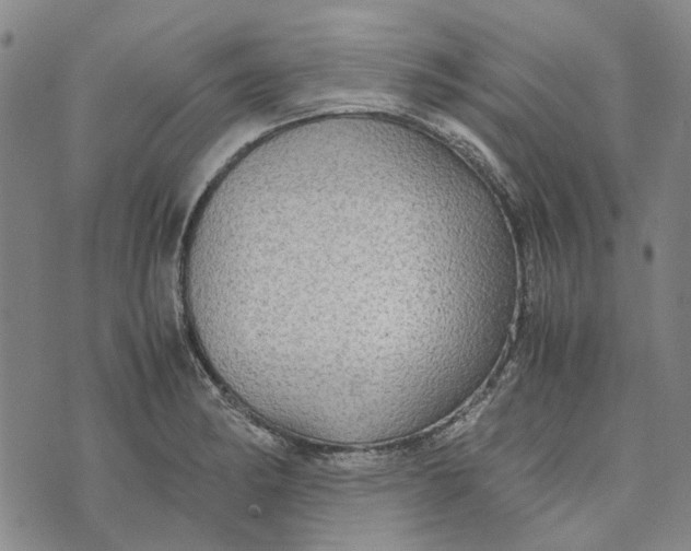 X0000072521182200608041524