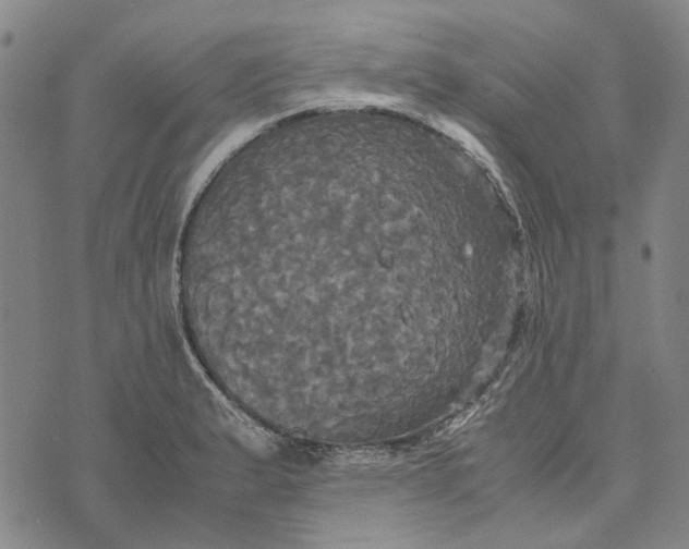 X0000072521183200608041524