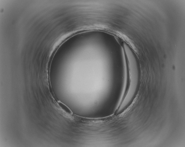 X0000072521184200608041524