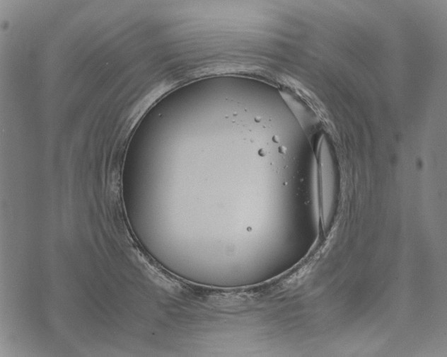 X0000072521185200608041524