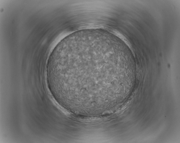 X0000072521187200608041524