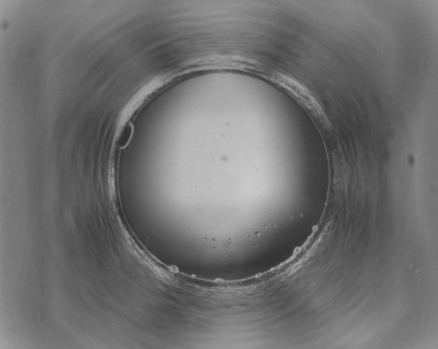 X0000072521188200608041524