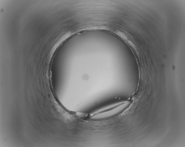 X0000072521189200608041524