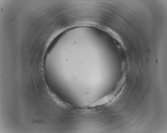 X0000072521192200608041524