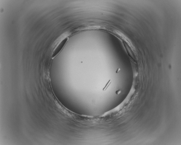 X0000072521193200608041524