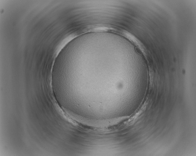 X0000072521194200608041524