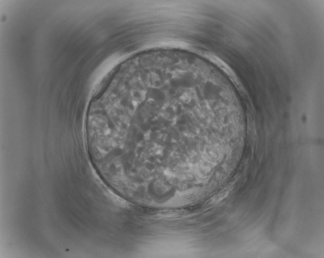 X0000072521199200608041524