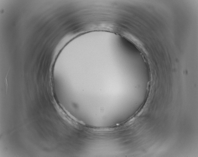 X0000072521200200608041524