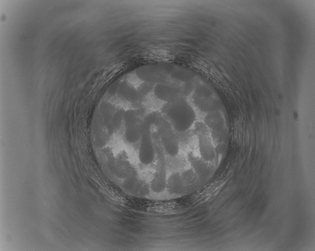 X0000072521201200608041523