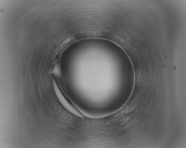 X0000072521202200608041523