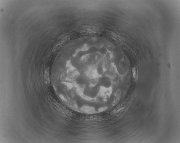 X0000072521203200608041523