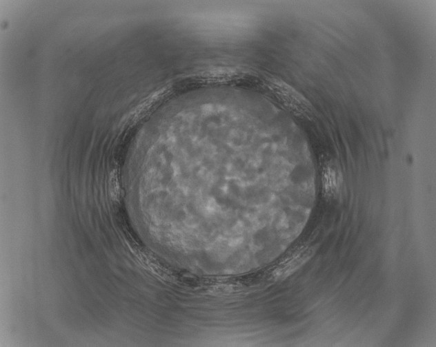 X0000072521204200608041523