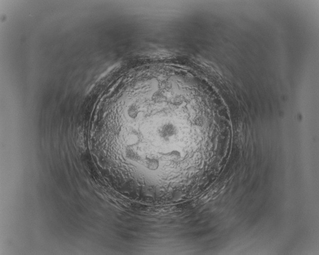 X0000072521205200608041523