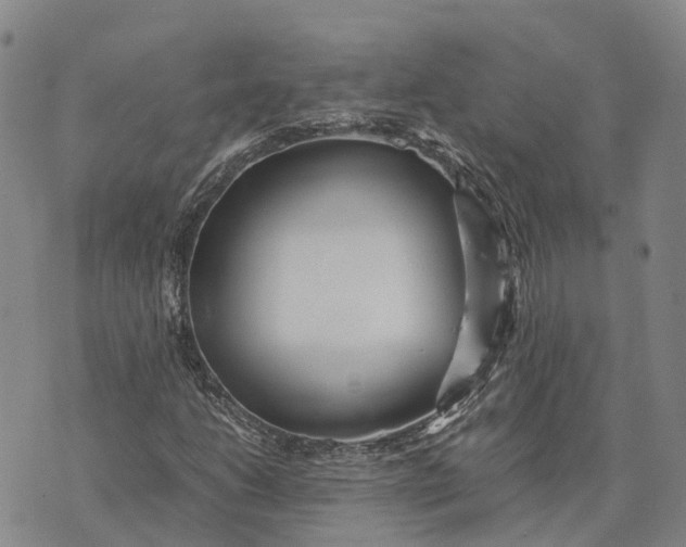 X0000072521206200608041523