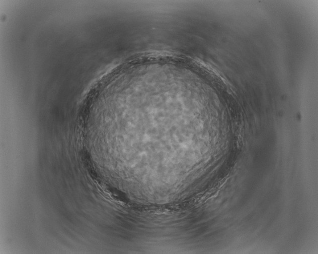 X0000072521207200608041523