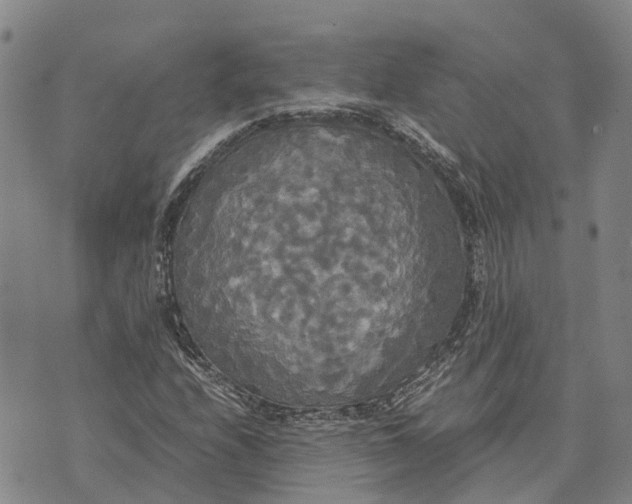 X0000072521208200608041523