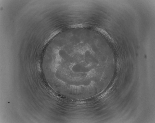 X0000072521209200608041523