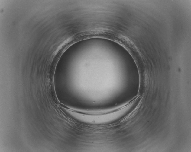 X0000072521210200608041523