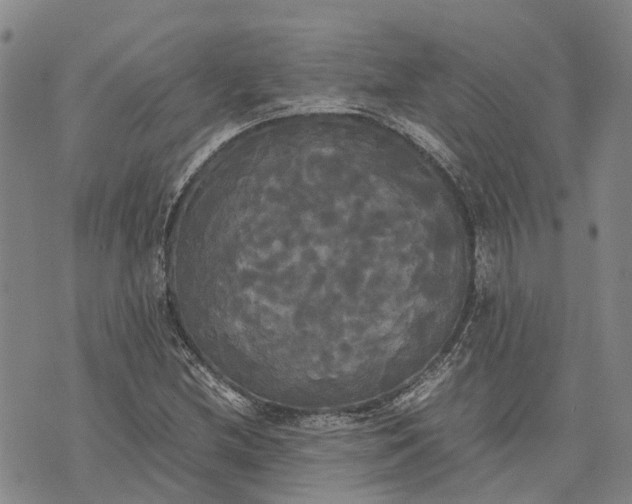 X0000072521212200608041523