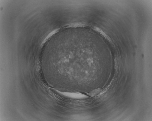 X0000072521213200608041523