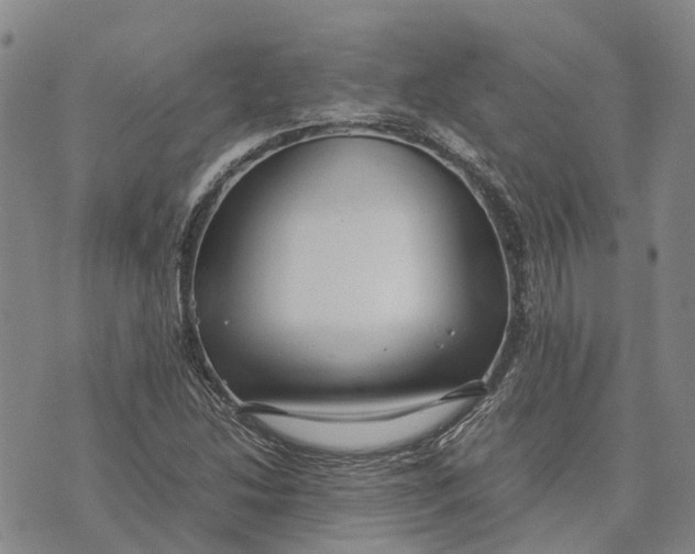 X0000072521214200608041523