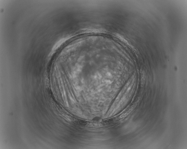 X0000072521215200608041523