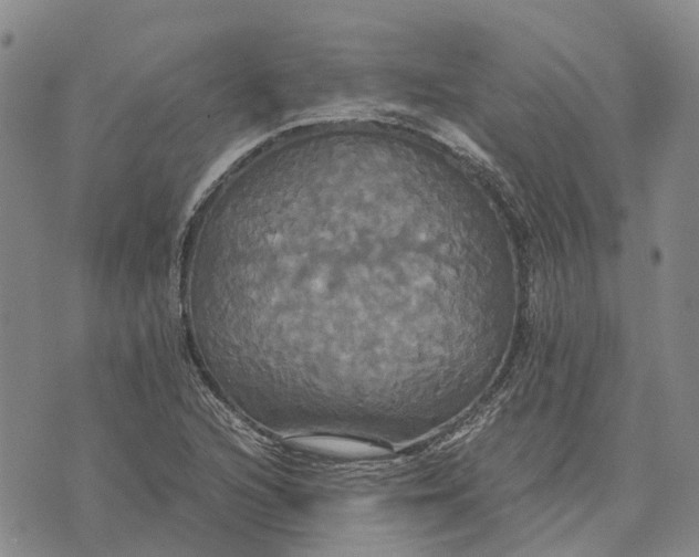 X0000072521216200608041523