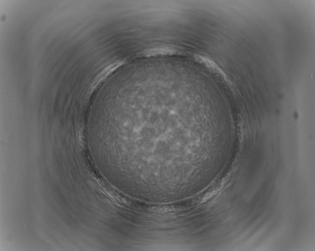 X0000072521217200608041523