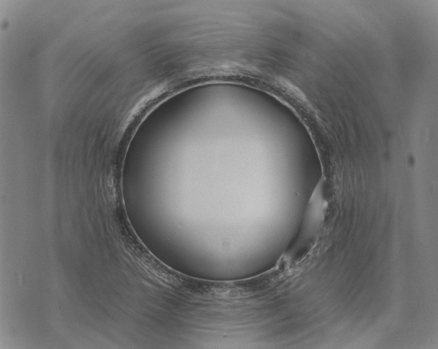 X0000072521218200608041523