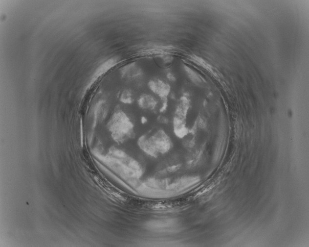 X0000072521219200608041523