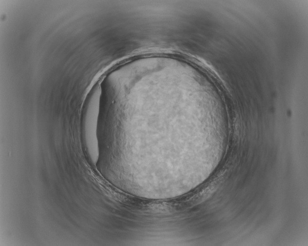 X0000072521220200608041523