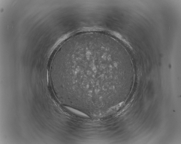 X0000072521221200608041523