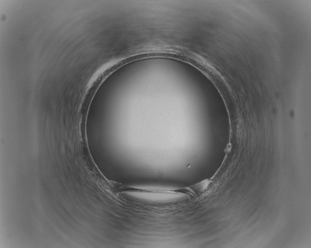 X0000072521222200608041523