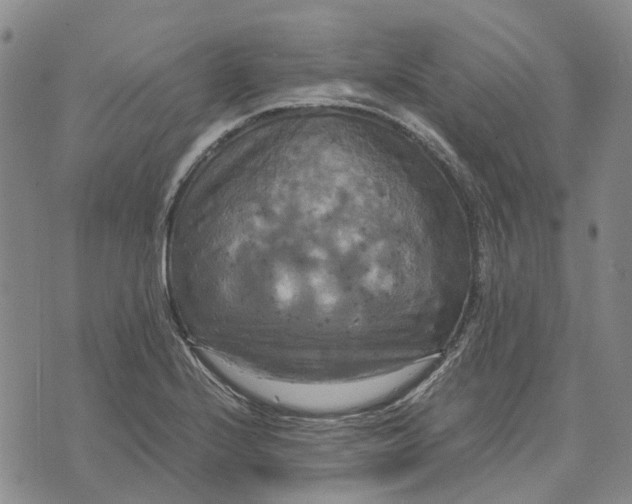 X0000072521224200608041523