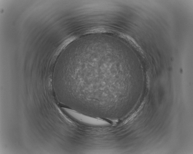 X0000072521225200608041523