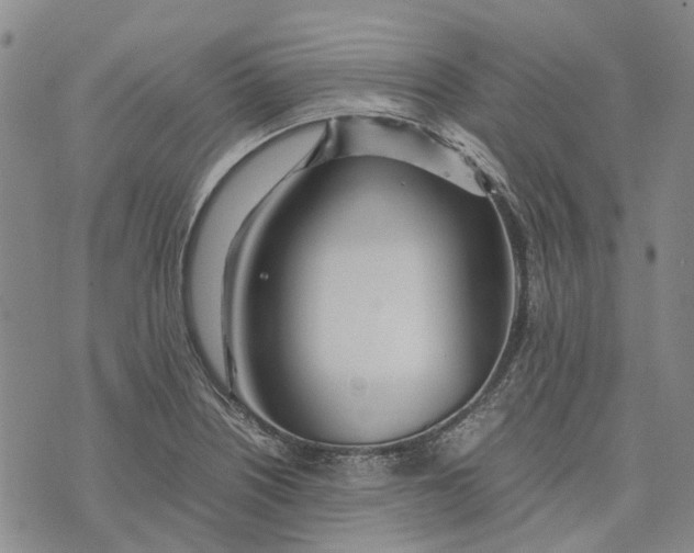 X0000072521226200608041523