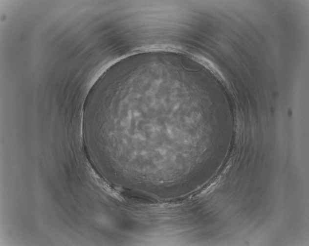 X0000072521228200608041523