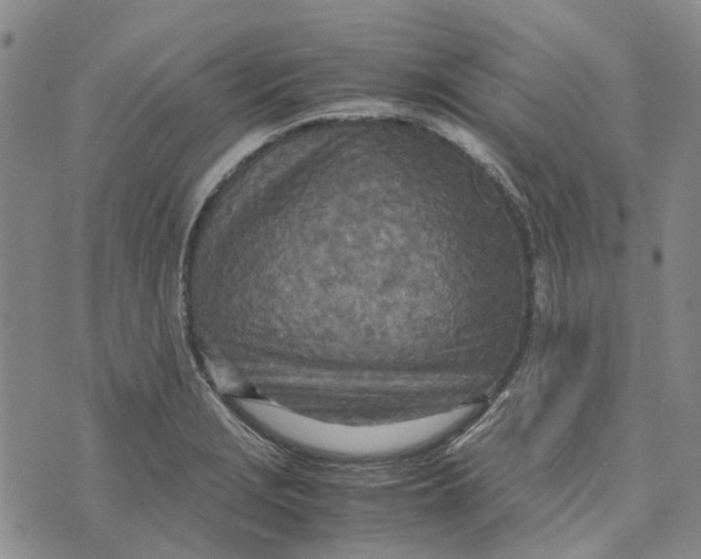 X0000072521229200608041523