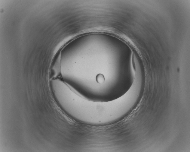 X0000072521230200608041523