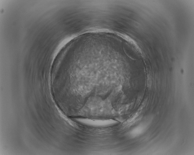 X0000072521231200608041524