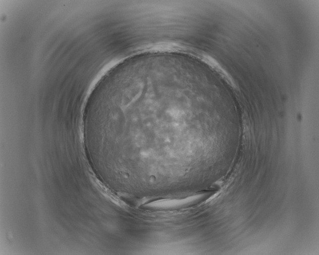 X0000072521232200608041524