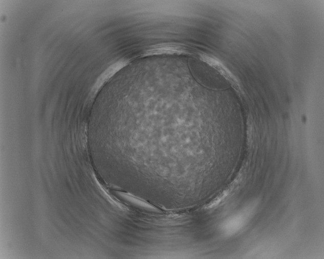 X0000072521233200608041524