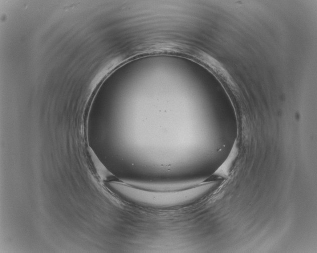 X0000072521234200608041524