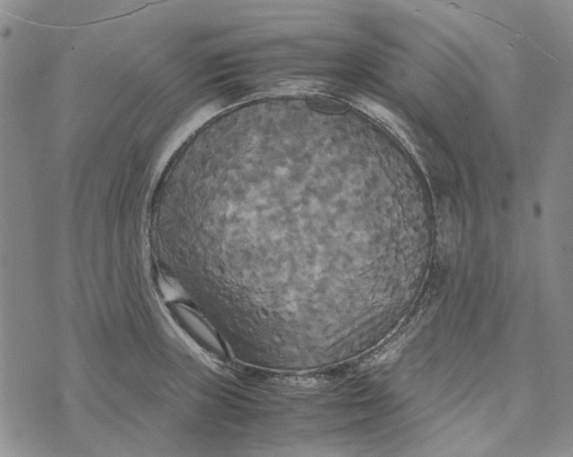 X0000072521235200608041524