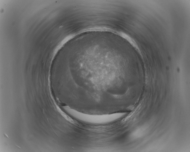 X0000072521237200608041524