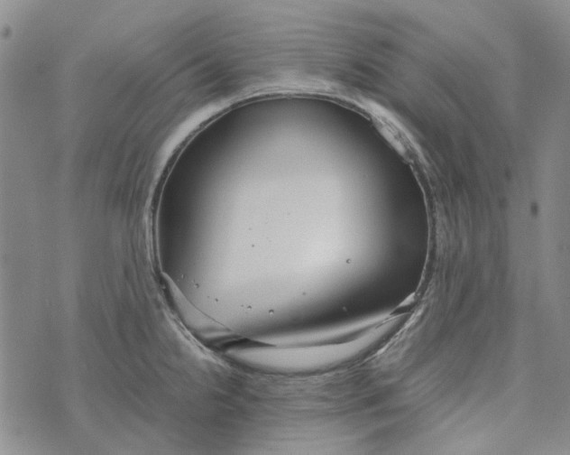 X0000072521238200608041524