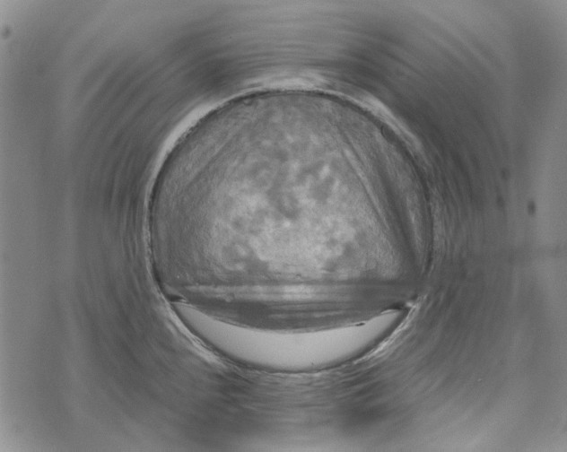 X0000072521240200608041524