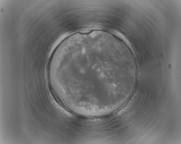 X0000072521243200608041524