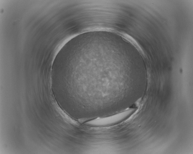 X0000072521244200608041524